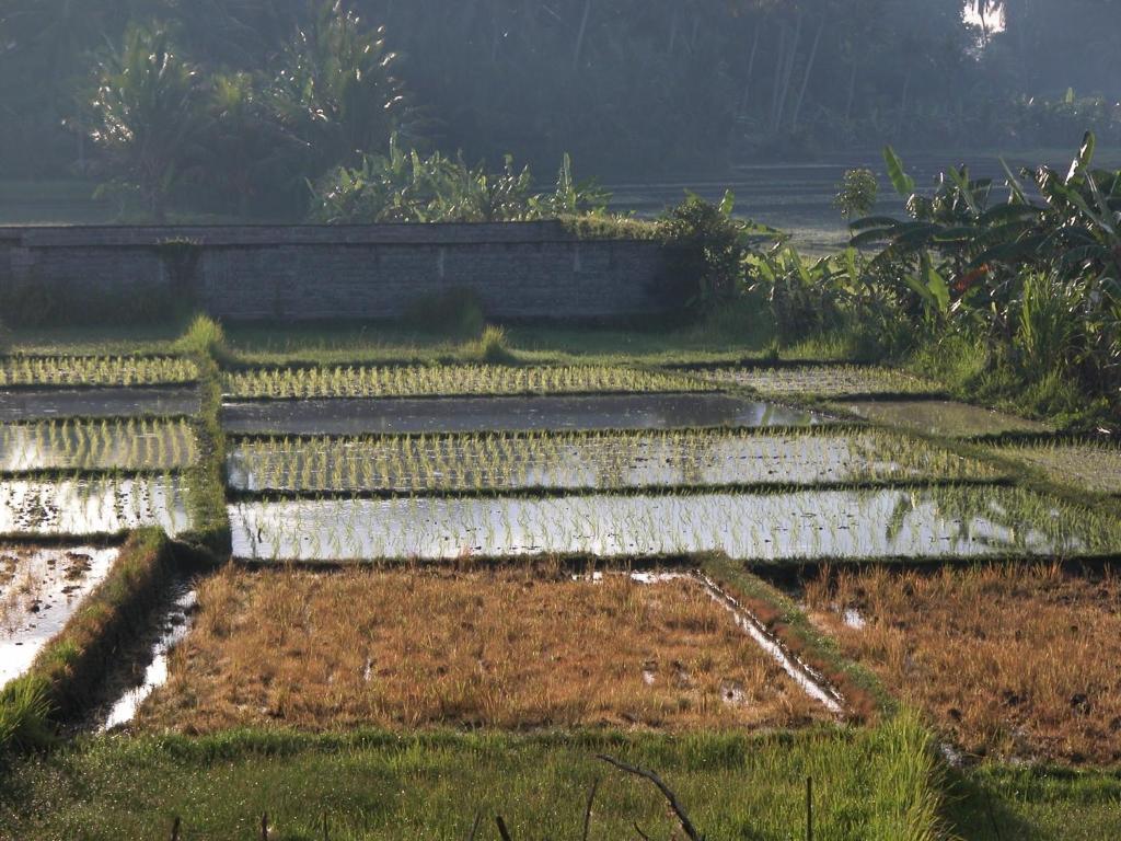 Villa Kawan Tanah Lot Værelse billede